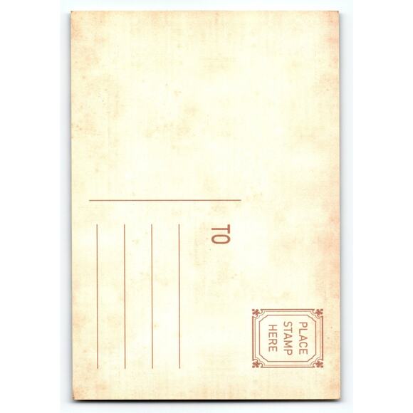 Vintage Gothic Halloween Lady Art Postcard 5.5 x 4 Chrome Litho - Picture 2 of 2